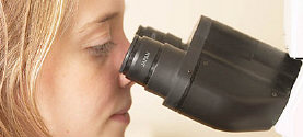 hypnosis research